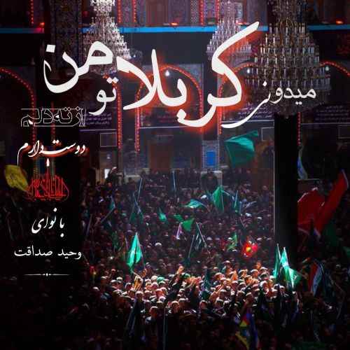 وحید صداقت میدونی
